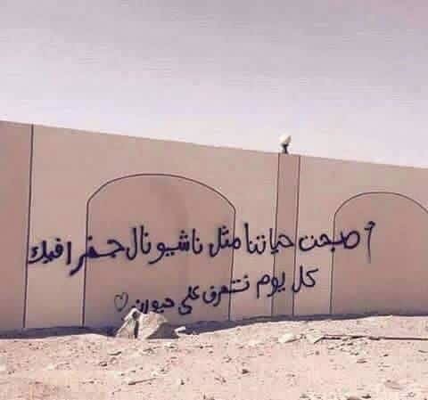 20161016-14015-1857yv3