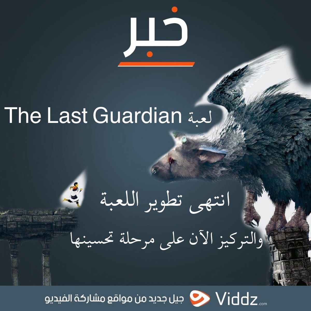 viddz.games instagram 
