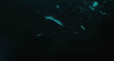 20160618-3618-1lbunpz