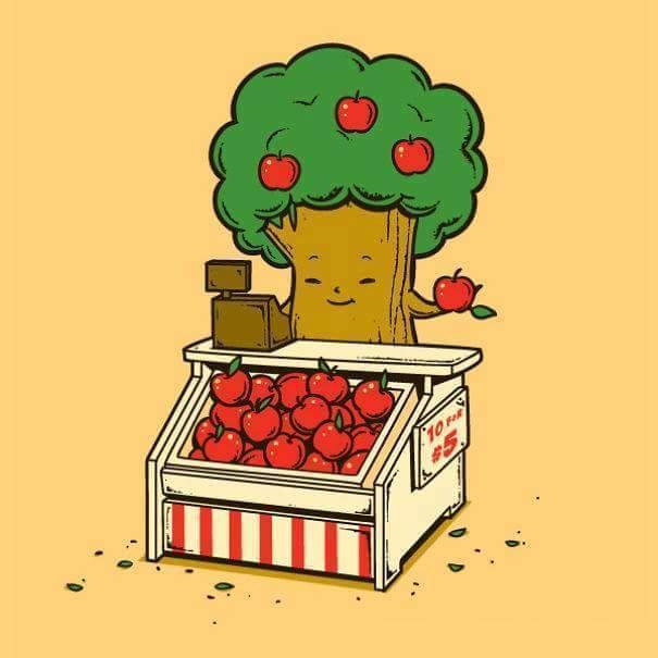 11026321_946145262090169_8331577857487237891_n