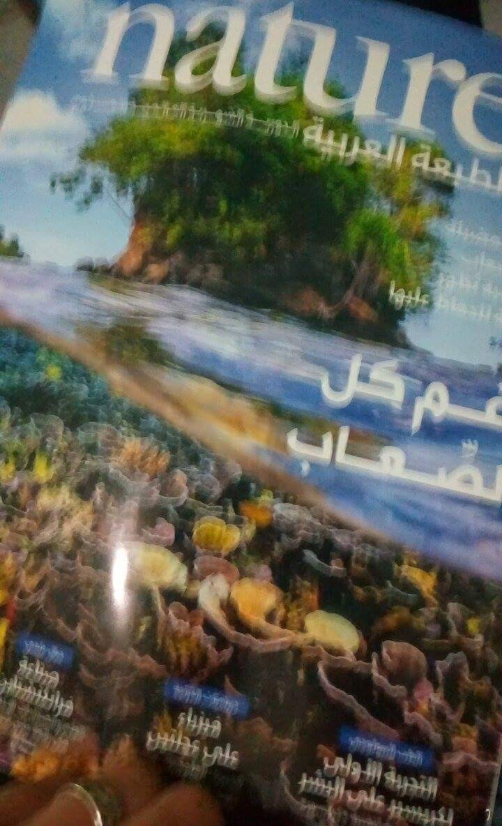 received_305569906489986