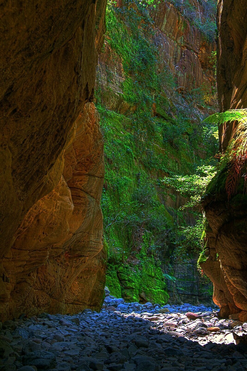 Nature__11_