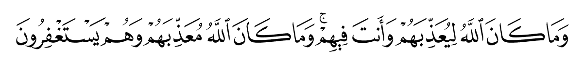 8-33-line
