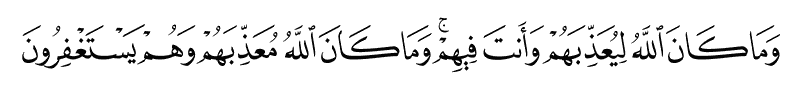 8-33-line
