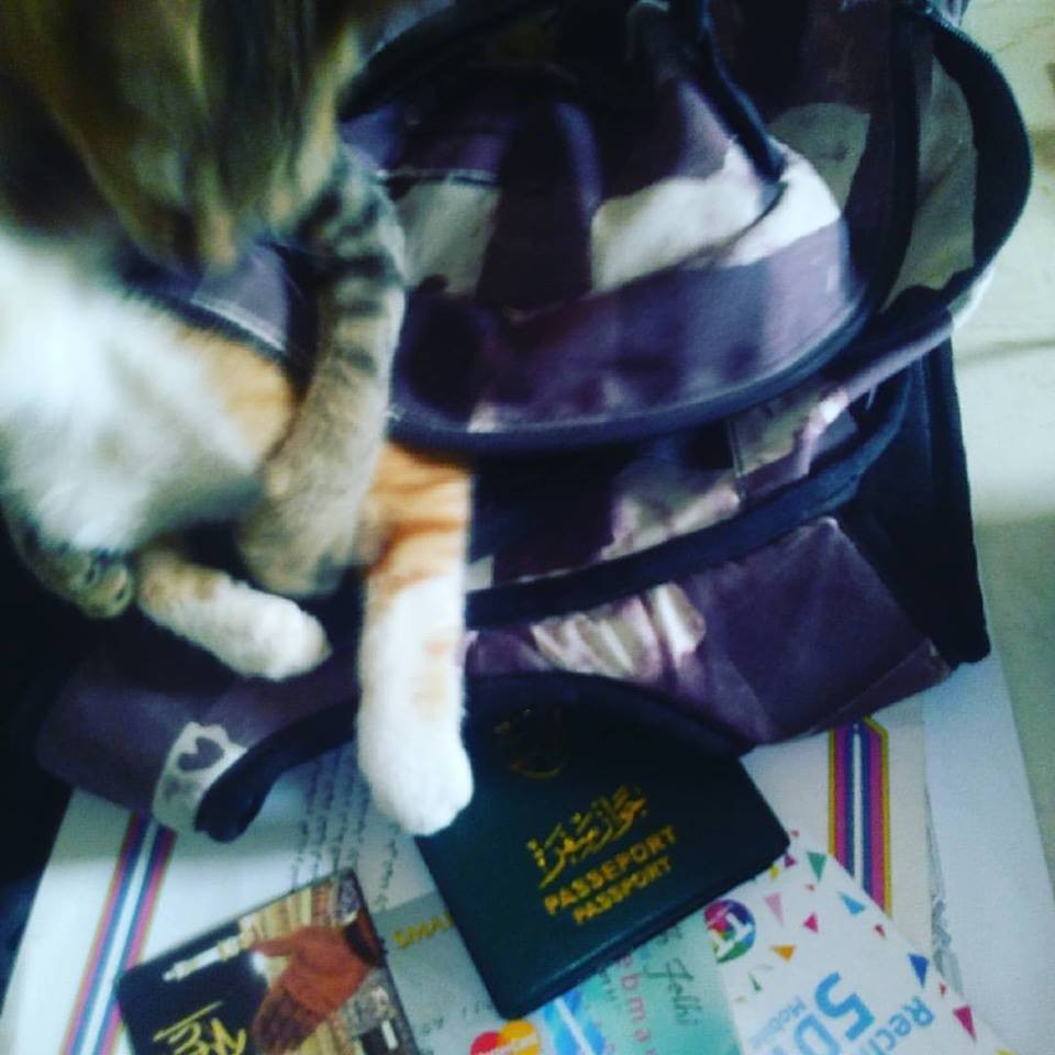 19060052_10211800237832976_1573627029808762539_n