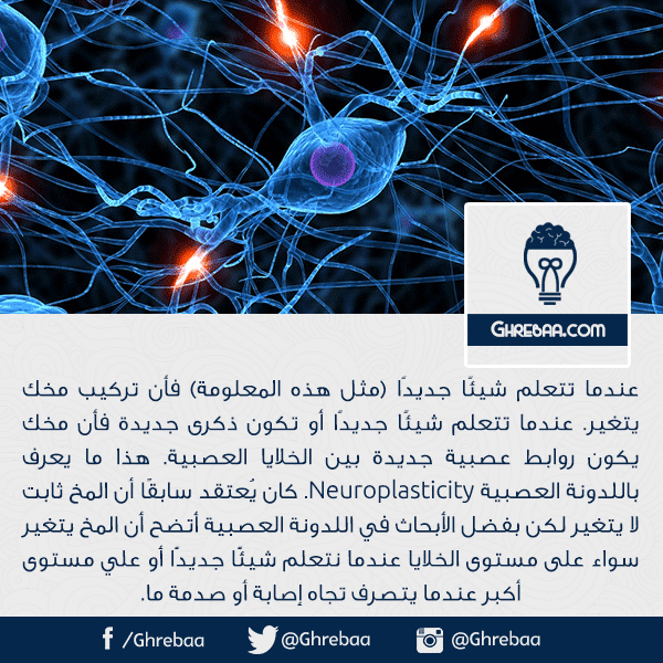 12439043_958335030924475_7562014211431525152_n