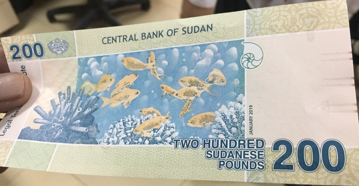 motaz_ibrahim-1090643854116704256-20190130_191212-img2