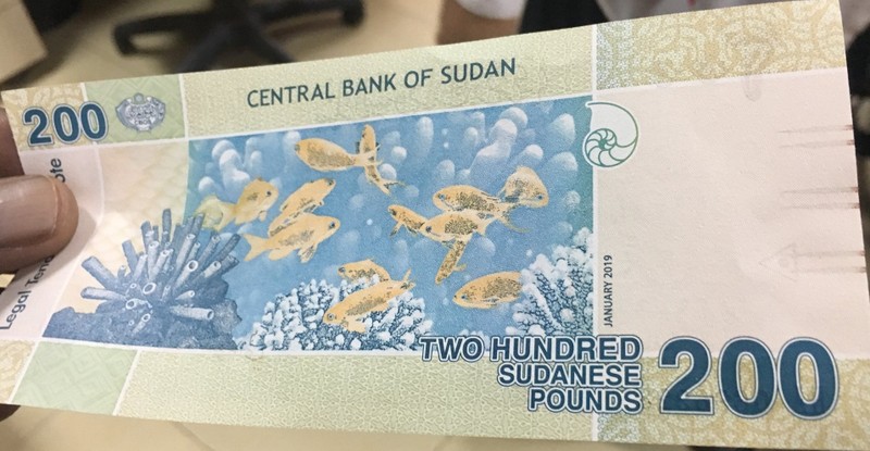 motaz_ibrahim-1090643854116704256-20190130_191212-img2