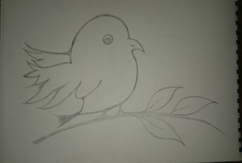 12596305_10207015856567668_36461731_n