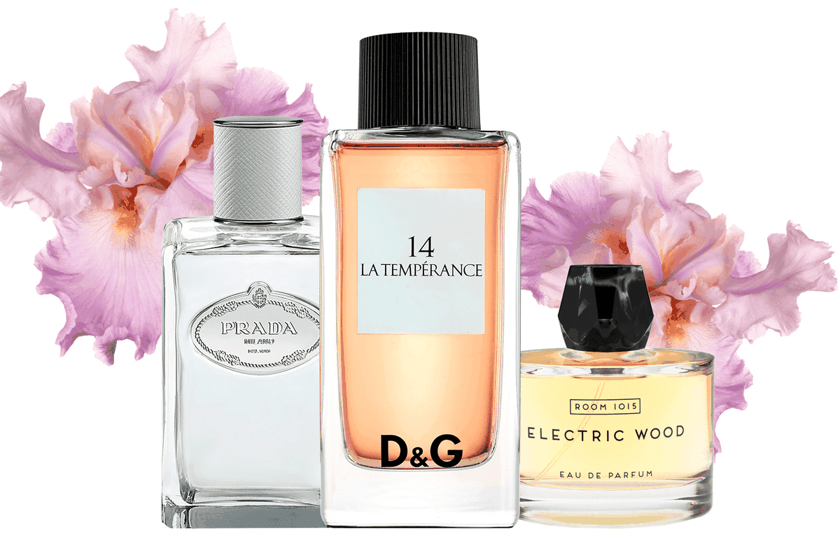 fragrances