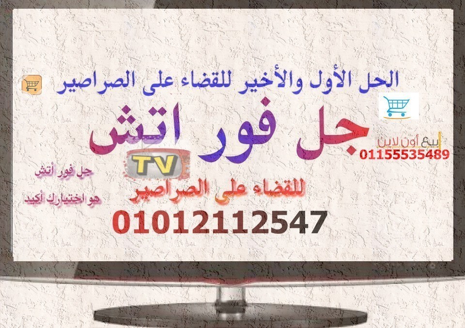 الحل الاول والاخير للتخلص من الصراصير