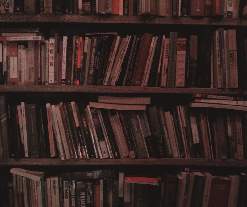 صورة المقال الثالث