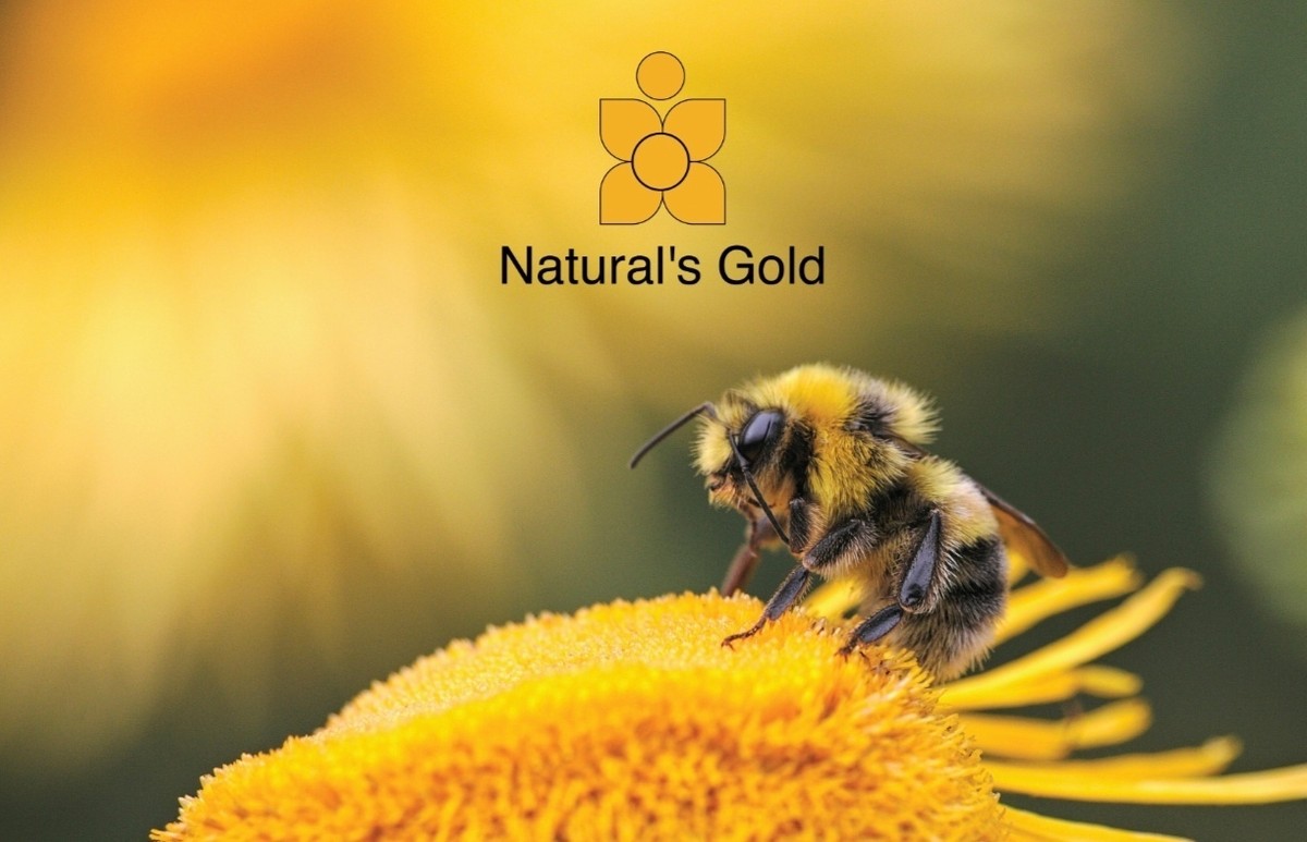 Screenshot_20250226_154759