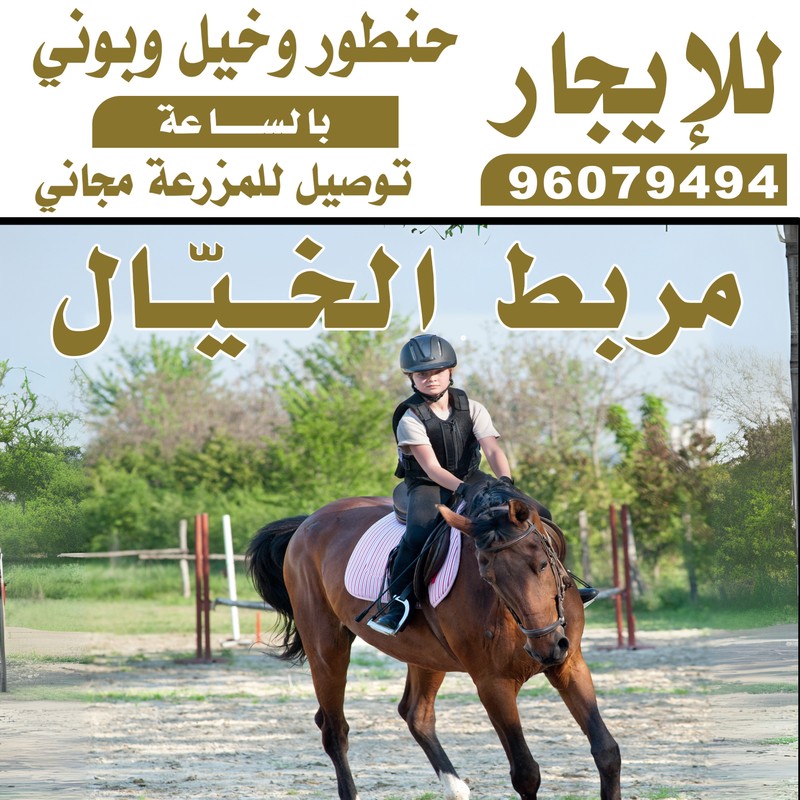 مربض_الخيال