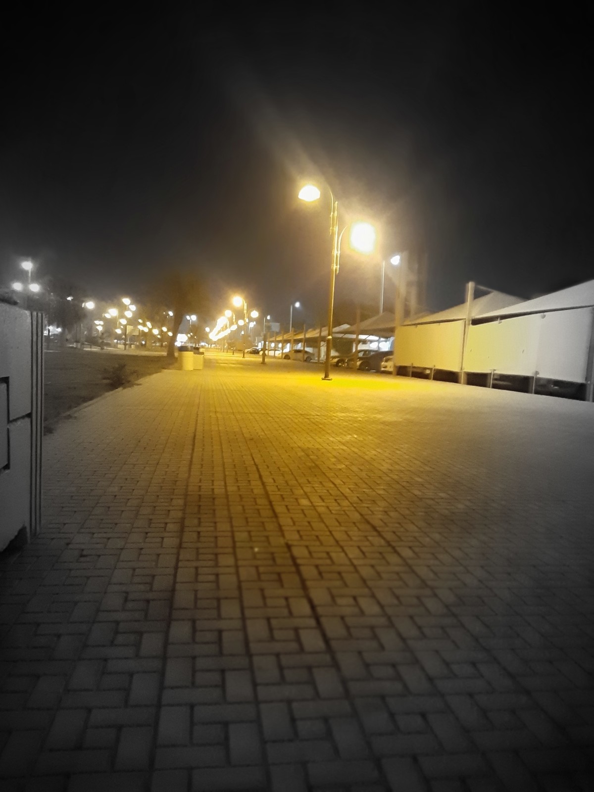 ٢٠٢١٠٨٢٧_٢٢٥١١٤