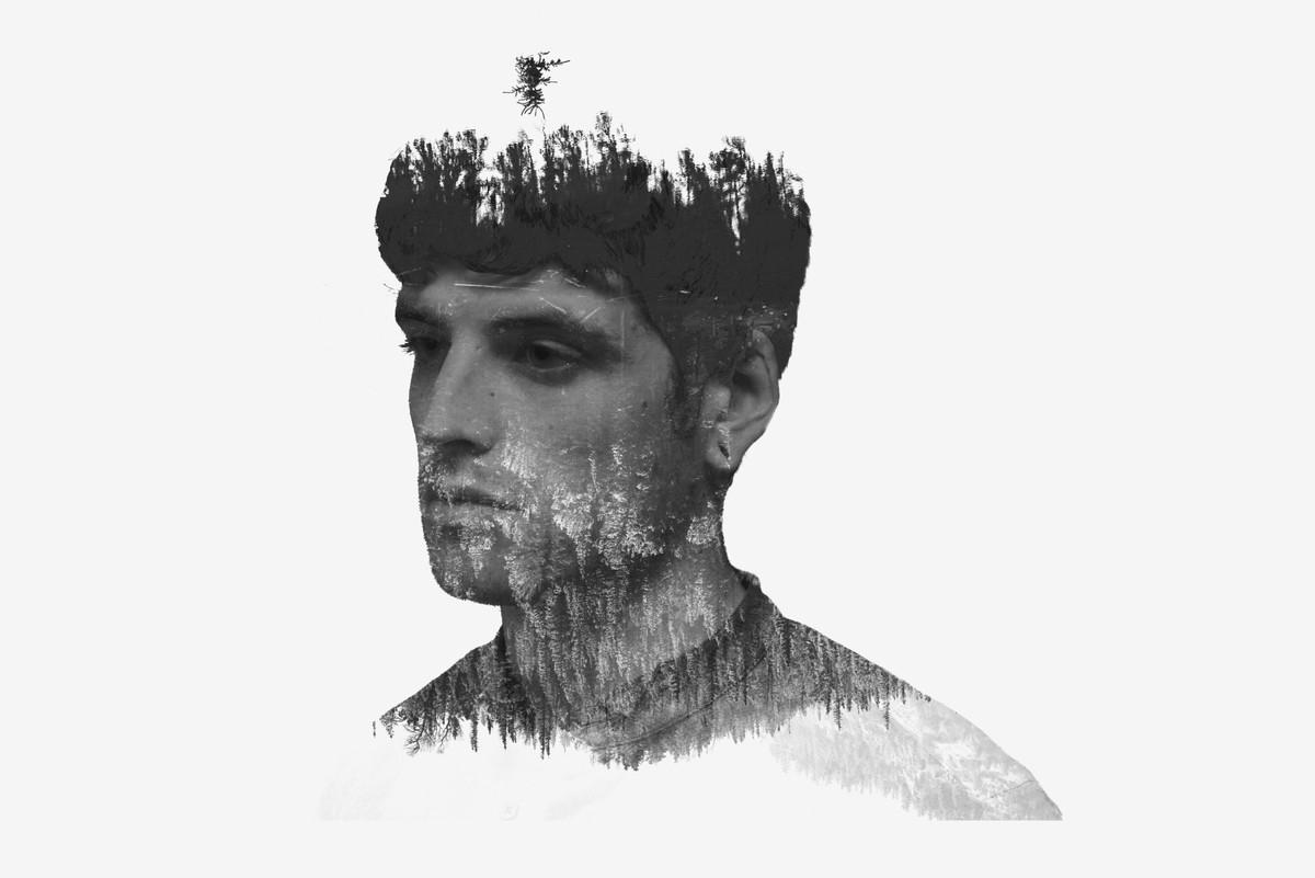 الرجل_والشجر