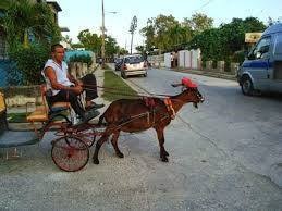 12512312_945117222234744_6345545167542433885_n