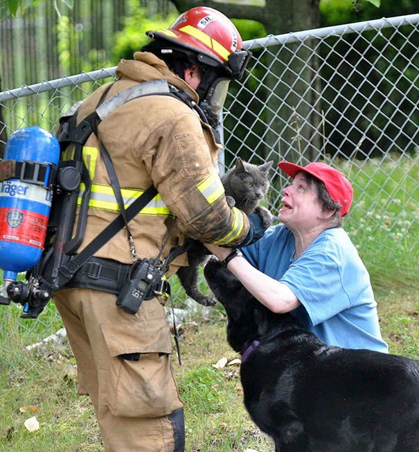 firefighters-rescuing-animals-saving-pets-43-5729eee5d82a4__605