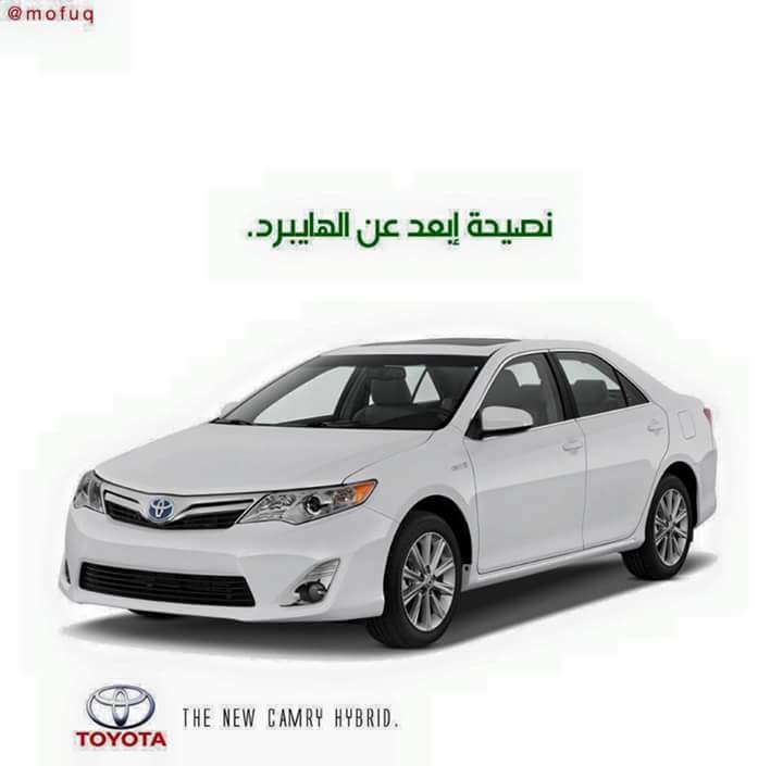 14068314_1228830410482972_3717419458491223491_n