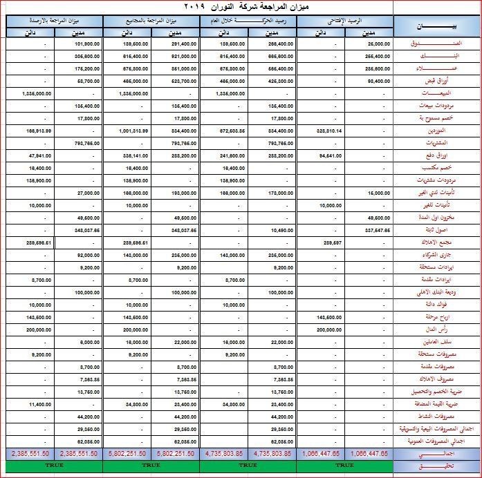 ميزان مراجعة شركة النوران 