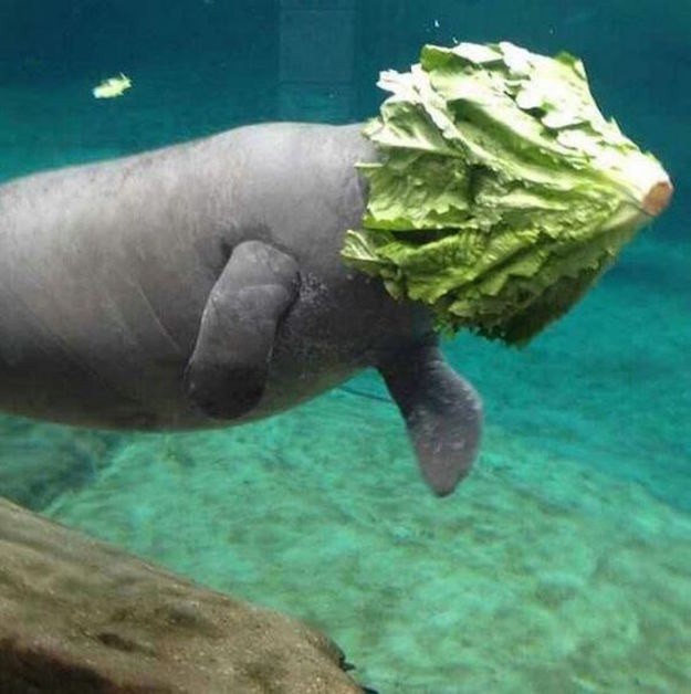 enhanced-15875-1459869203-1