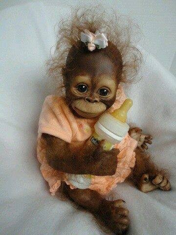 13344711_601074576739237_599413329478655050_n