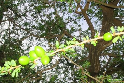 مناظر جميلة من الطبيعة 