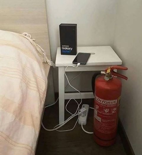 14276591_132927027160481_1386078111_n