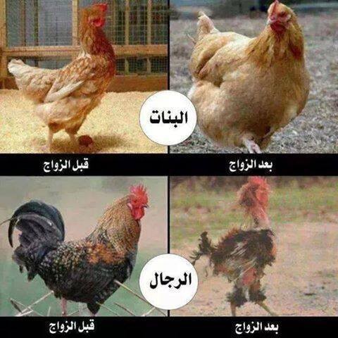 10628177_800985879963245_5929324278854245570_n