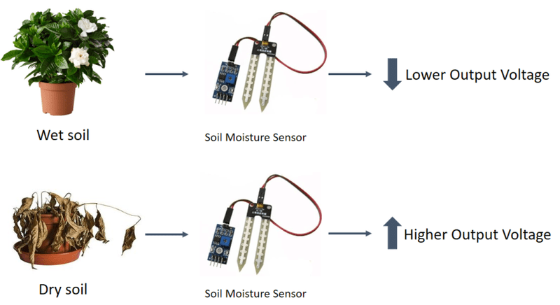 # soil moisture sensor