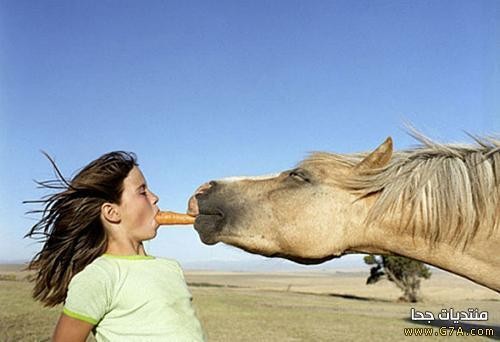 almastba.com_1390423446_796