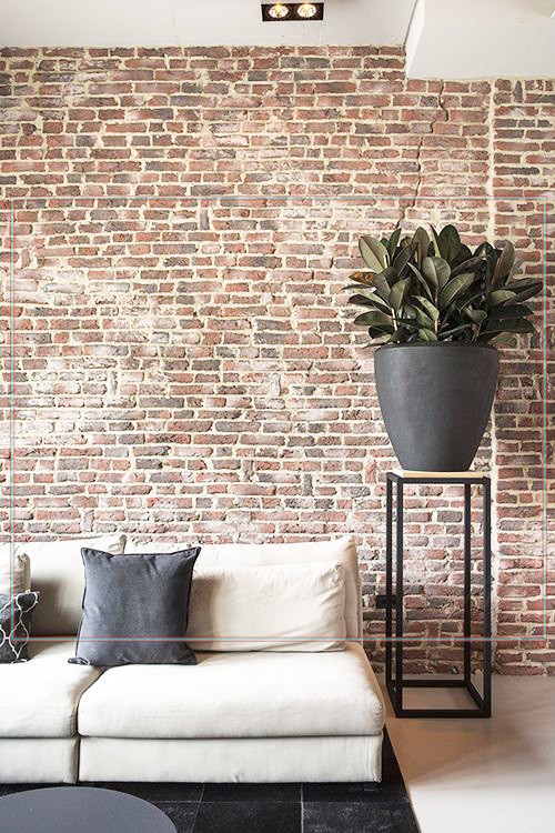 ديكور_حائط_حجر_مودرن