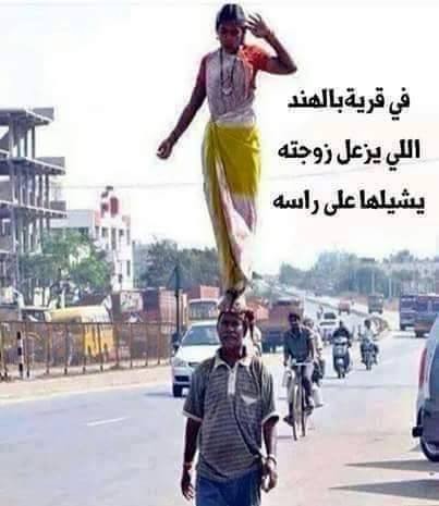 12516272_1775822686038339_355795233_n