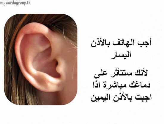 shmok3net_1381207357_935