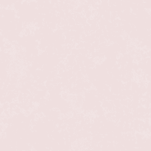 pink_rice