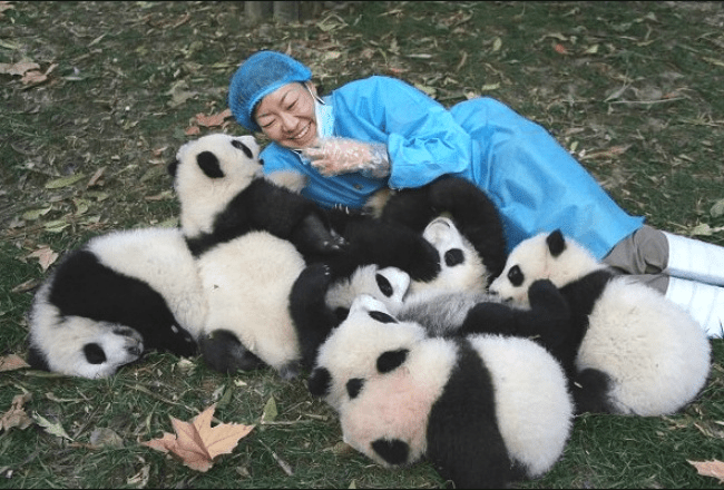 641455-650-1458206654-14