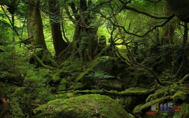 world-pictures-nature-new-33