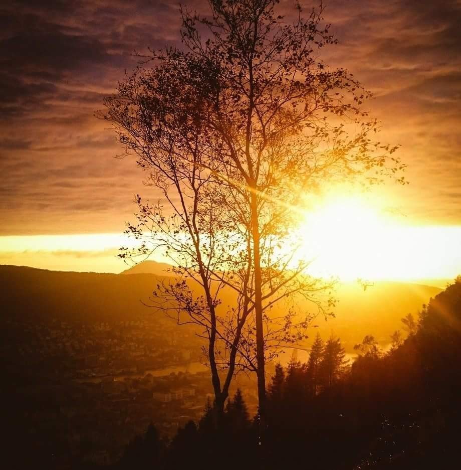 FB_IMG_1479650439737