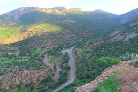 FB_IMG_1482436688296