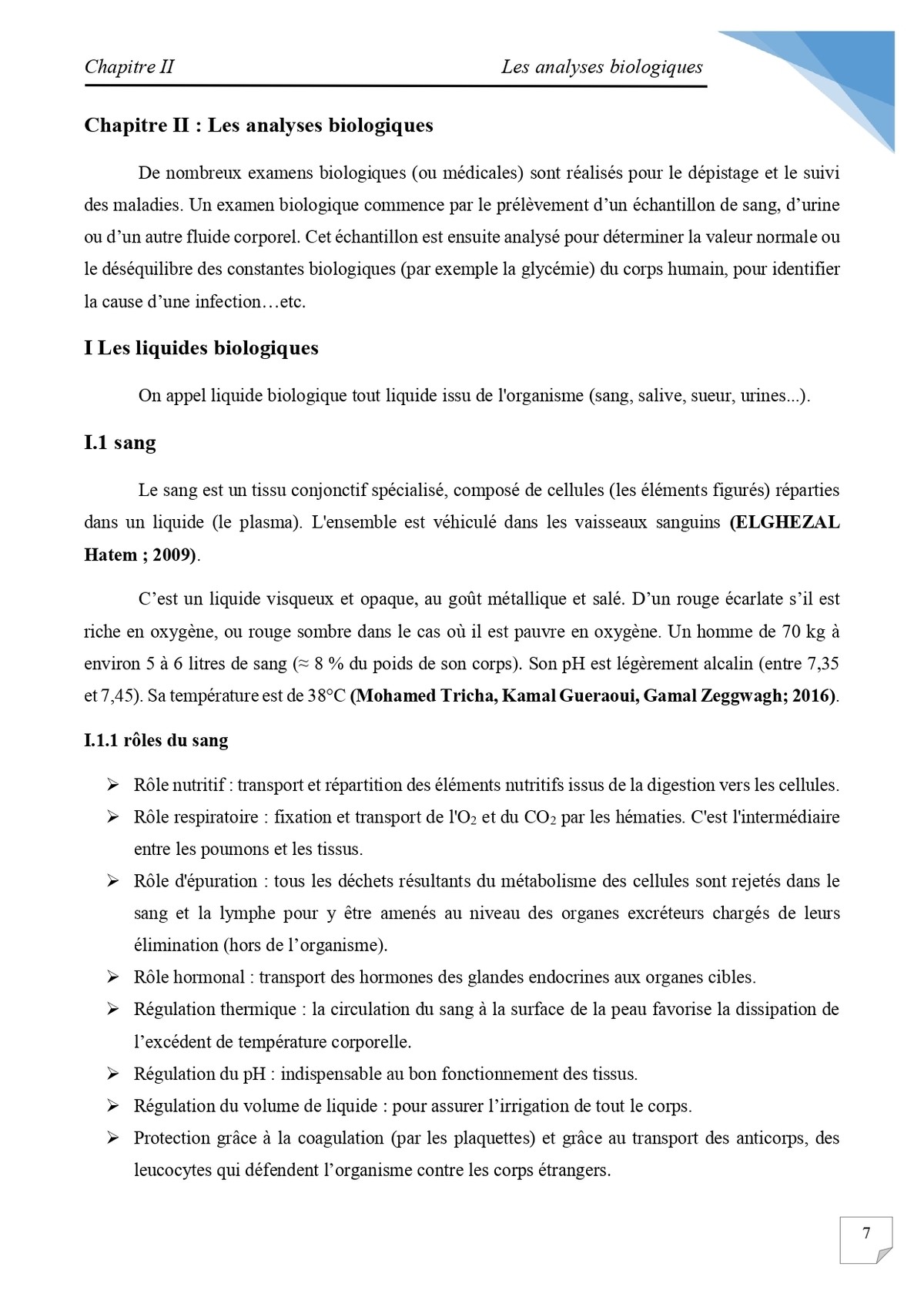 Nineveh Rapport Requirements - 6xeh5hp