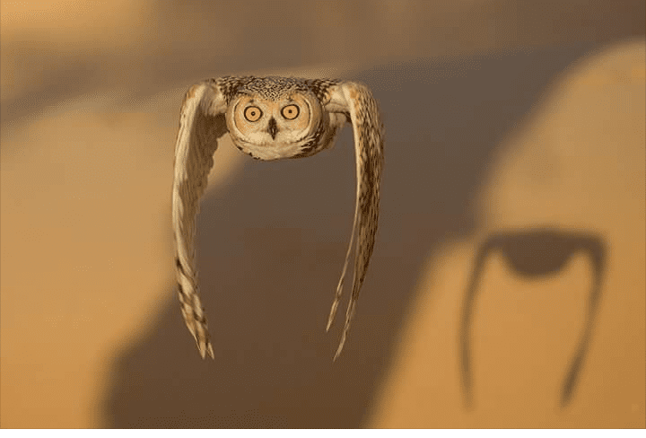 Screenshot_2016-09-13-16-47-45-1