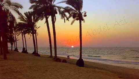 received_864482997048778