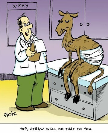 PicsArt_09-09-03.00.50