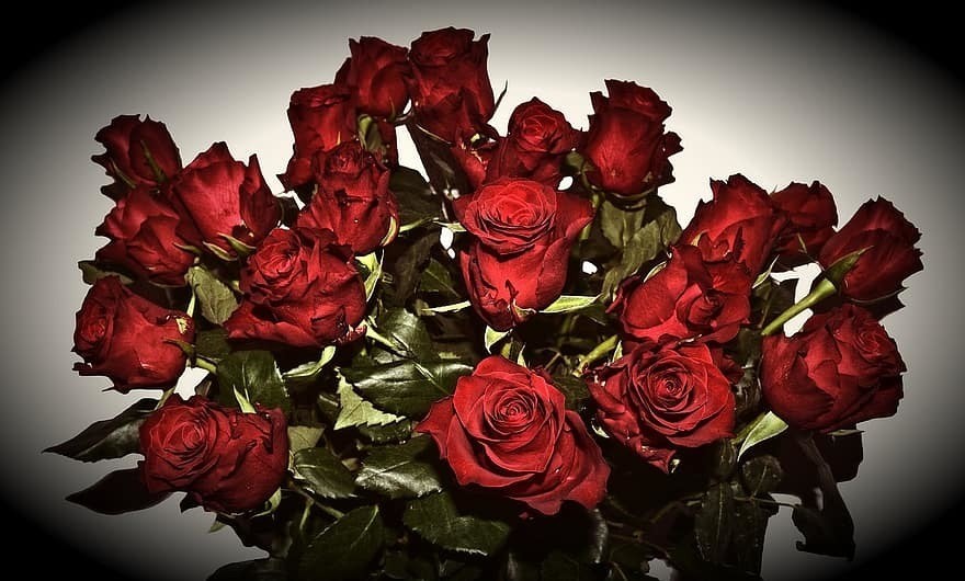 red-roses-mourning-last-greeting-love-all-saints