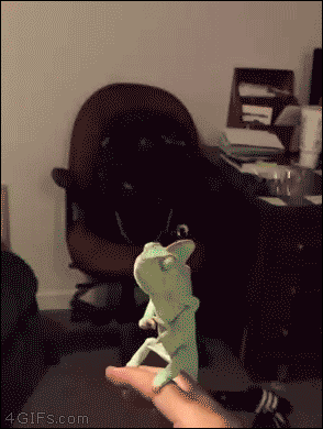 20160620-3618-1lualfp