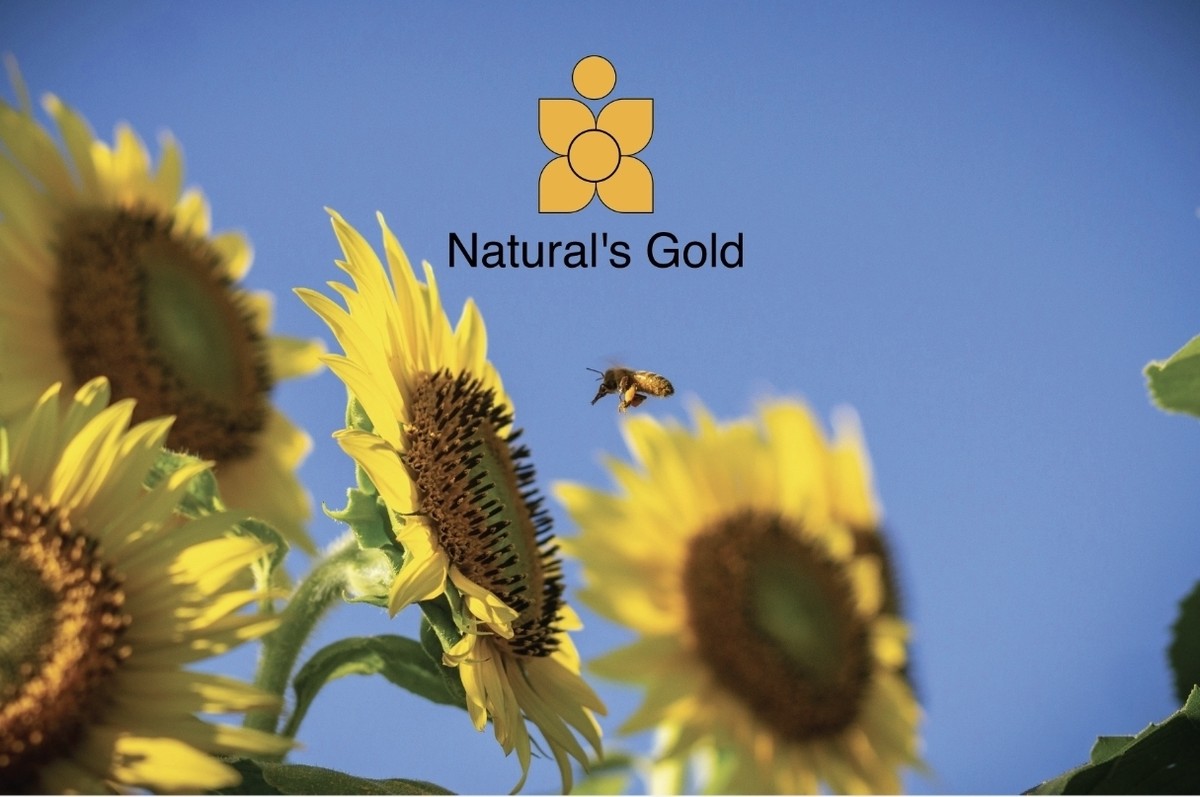 Screenshot_20250226_155402_com_hihonor_photos_SlotAlbumActivity