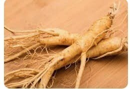 الجينسنغ | Ginseng