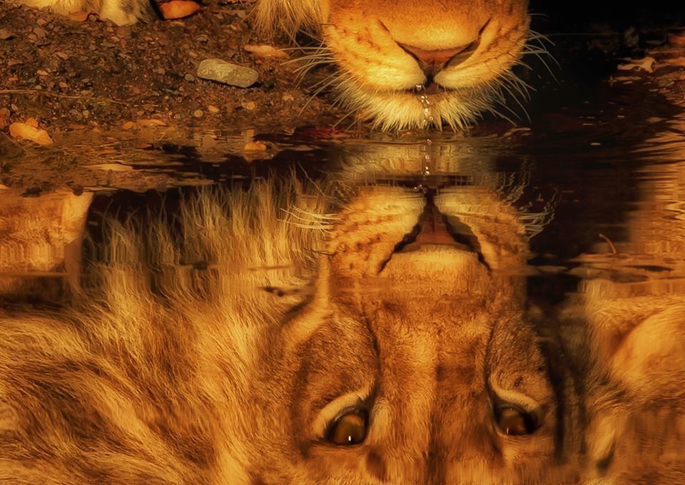 18221909_10154315505896400_5271483688272666980_n