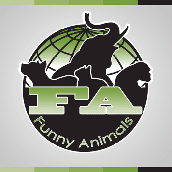 بانر متحرك لقناة على اليوتيب