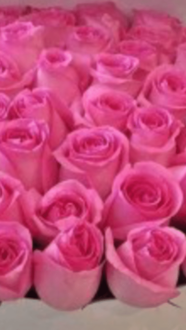  زهره بنكيه🌹